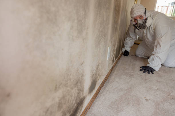 Best Residential Mold Inspection & Testing  in Gurdon, AR