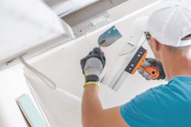 Best Basement Mold Removal  in Gurdon, AR